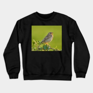 Corn bunting on a bush Crewneck Sweatshirt